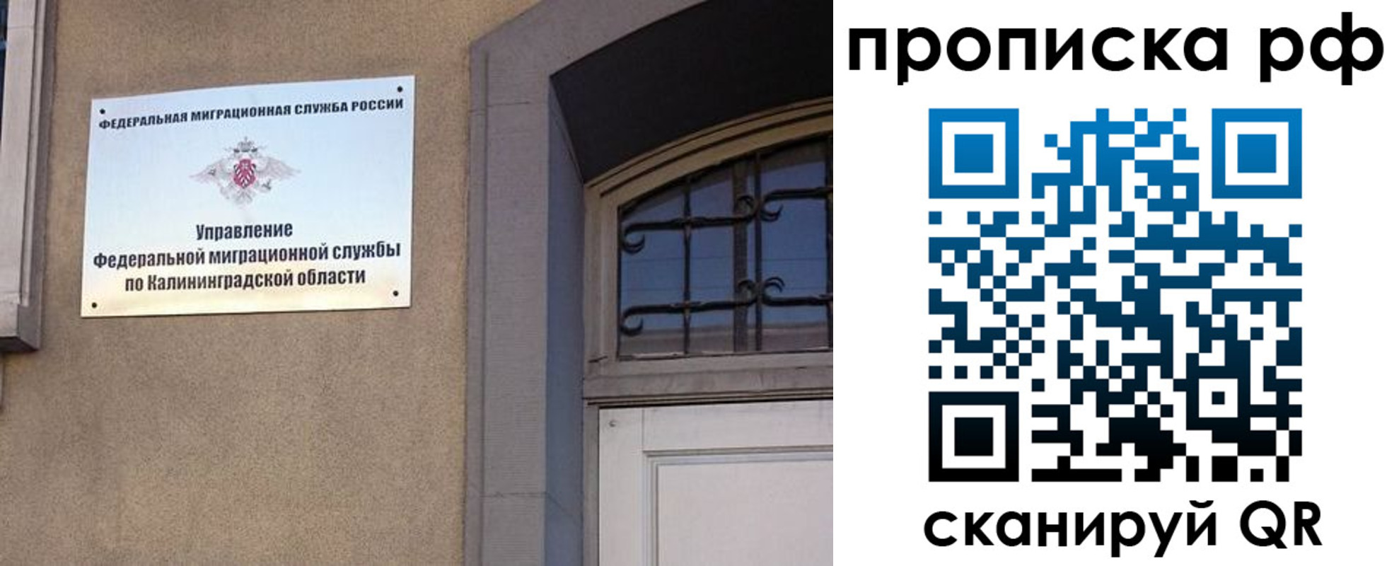временная регистрация гарантия в Лесном